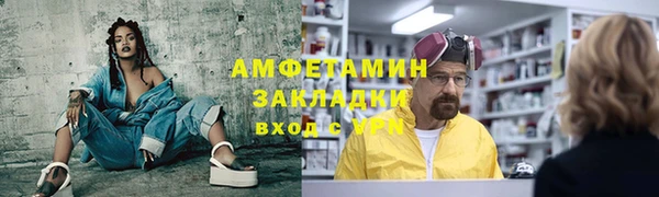 мдпв Вяземский