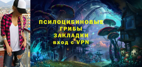 мдпв Вяземский