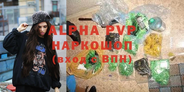 мдпв Вяземский