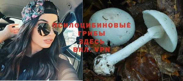герыч Вязники