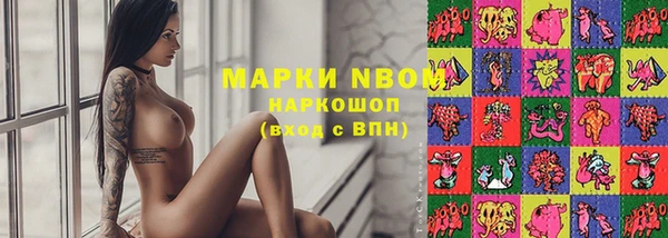 мдпв Вяземский