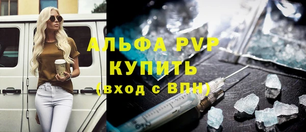 мдпв Вяземский
