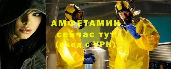 мдпв Вяземский