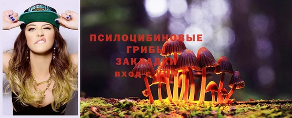 молекула духа Алагир