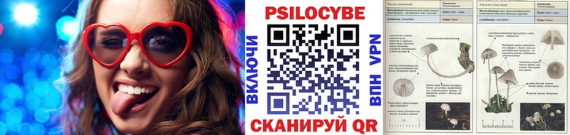 Псилоцибиновые грибы MAGIC MUSHROOMS  Дрезна 